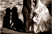 artisti wedding photography