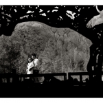 engagement photography gta