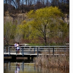 illustrative engagement photography
