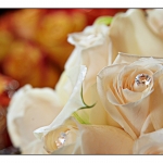 milton wedding_0001