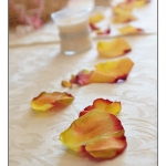 milton wedding_0033